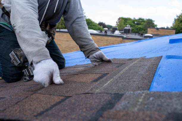 Best Commercial Roofing Services  in Mccom, MS