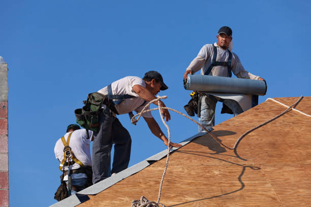 Best Roof Waterproofing Services  in Mccom, MS