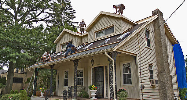 Best Shingle Roofing Installation  in Mccom, MS